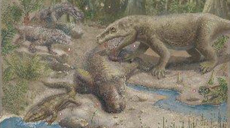 The plant-eating pareiasaurs were preyed on by sabre-toothed gorgonopsians. Both groups died out during the end-Permian mass extinction, or "The Great Dying." CREDIT © Xiaochong Guo