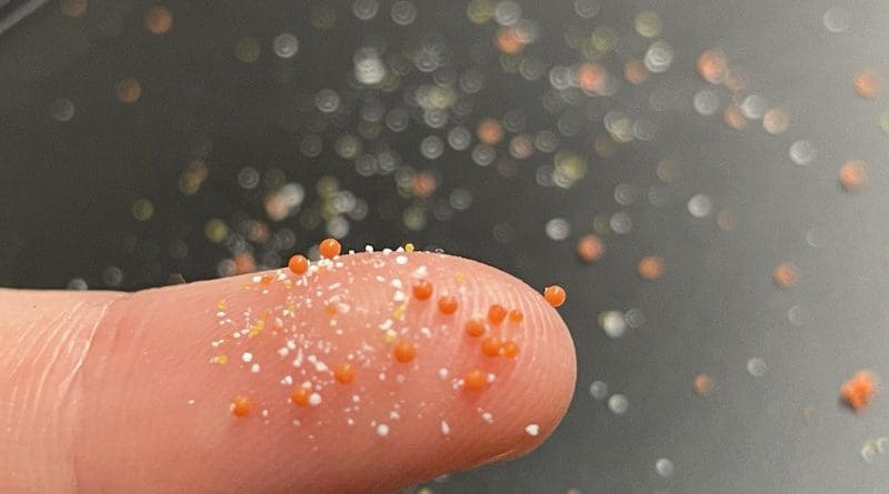 A single use of a facial exfoliator can release 5,000 -100,000 microplastics to the environment. CREDIT NJIT