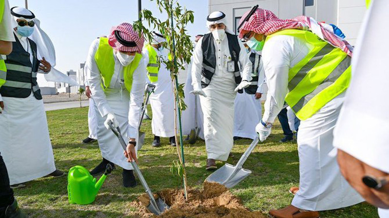 Initiative involves planting a staggering 10 billion trees in Saudi Arabia alone. (AN file photo)