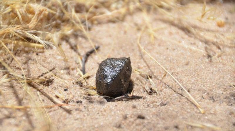Fragment of asteroid 2018 LA recovered in Central Kalahari Game Reserve in central Botswana. CREDIT SETI Institute