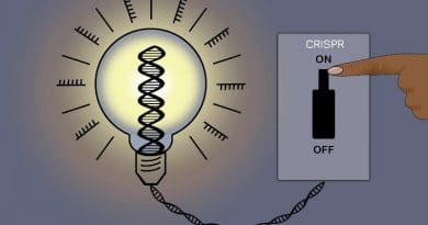 A new CRISPR method allows researchers to silence most genes in the human genome without altering the underlying DNA sequence -- and then reverse the changes. CREDIT Jennifer Cook-Chrysos/Whitehead Institute