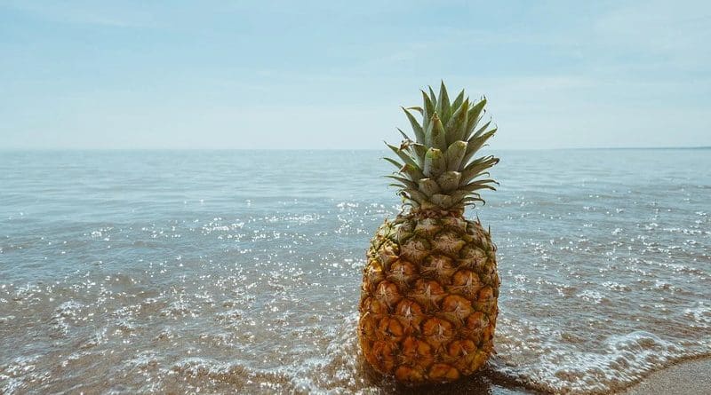 Pineapple Beach Tropical Coast Fruit Ocean Sea
