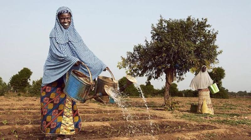 Women watering a field in Africa. Photo credit: United Nations