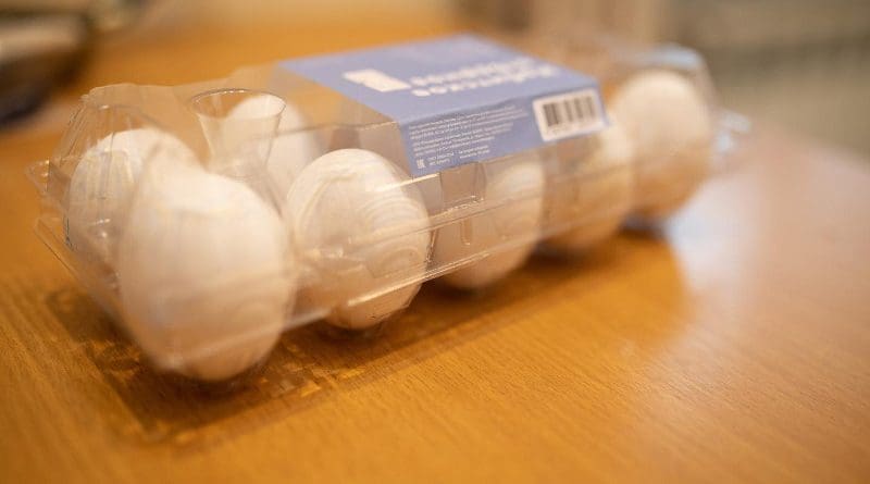 The cost of irradiation of plastic packaging for 10 eggs was 1.2 eurocents. CREDIT UrFU / Ilya Safarov.