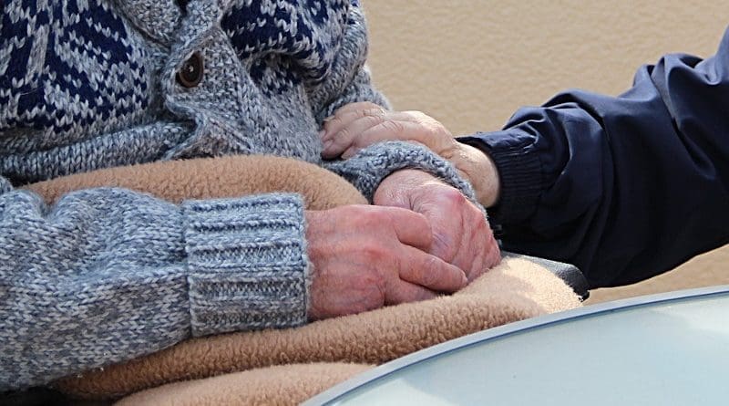 Elderly Care Human Old Love Seniors Health Disease Age