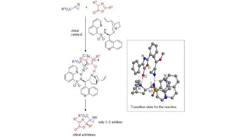Scientists from Japan recently proposed a possible transition state for the reaction between aziridines and oxazolones in presence of a cinchona alkaloid sulfonamide catalyst, producing desirable aziridine-oxazolone compounds with high yields and enantioselectivity or purity Image courtesy: Shuichi Nakamura from NITech