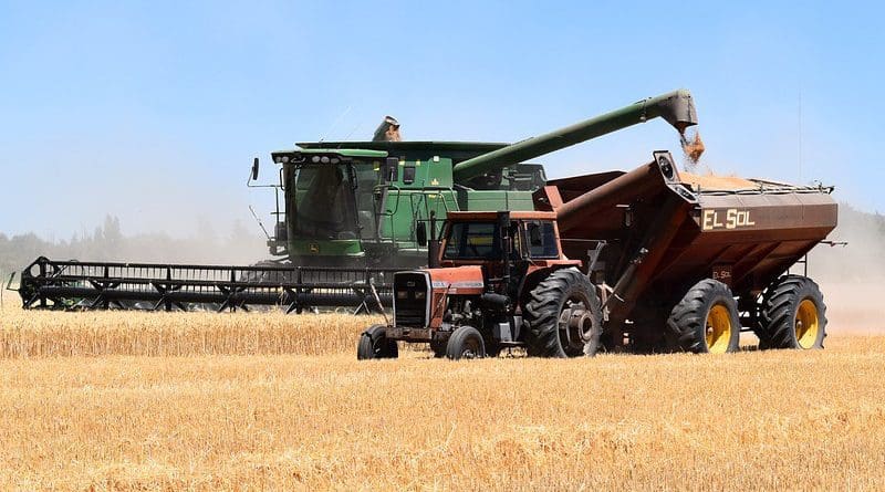Farm Combine Harvester Tractor Hopper Harvest Wheat