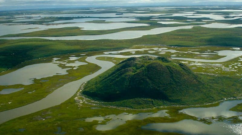 The Mackenzie River Delta on the Beaufort Sea, a low-lying region in the Canadian Arctic that is vulnerable to rising seas in a warming climate. Photo credit: Nadia and Harold Gomez