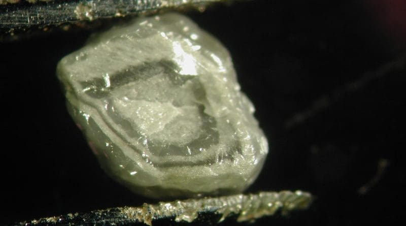 A diamond encapsulating tiny bits of fluid from the deep earth, held here by fine tweezers, was part of a study delving into the age and origins of South African stones. CREDIT Yaakov Weiss
