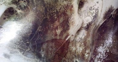 Hand prints in Pettakere Cave at Leang-Leang Prehistoric Site, Maros.. Photo Credit: Cahyo, Wikipedia Commons