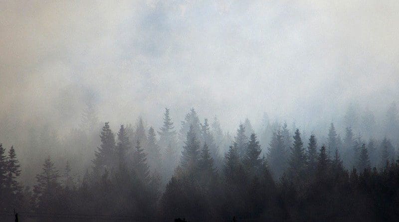 Wildfire Trees Smoke Wood Nature Landscape Forest Burning