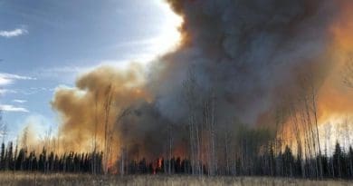 An experimental peatland fire in Alberta, Canada. CREDIT Sophie Wilkinson, McMaster University