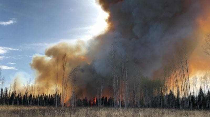 An experimental peatland fire in Alberta, Canada. CREDIT Sophie Wilkinson, McMaster University