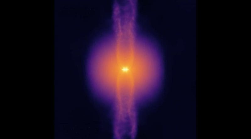 Snapshot from a STARFORGE simulation. A rotating gas core collapses, forming a central star that launches bipolar jets along its poles as it feeds on gas from the surrounding disk. The jets entrain gas away from the core, limiting the amount that the star can ultimately accrete. CREDIT Northwestern University/UT Austin