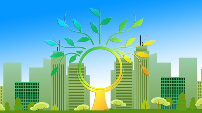 Renewable Energy City Urbanization Tree Aesthetic Leaves Skyscraper