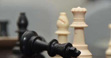 Surrender Checkmate Chess Board Chess Board Resignation