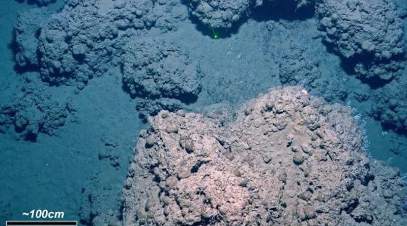 Massive lumps of carbonate litter the seafloor where large quantities of methane are leaking from the sediments and rocks below, marking the spot Dessandier and colleagues targeted to drill deep sediment cores. CREDIT Giuliana Panieri