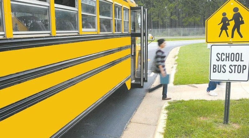 Schoolbus Vehicle Bus Girl School Grass Spring