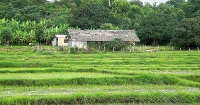 Abandoned farm Philippines