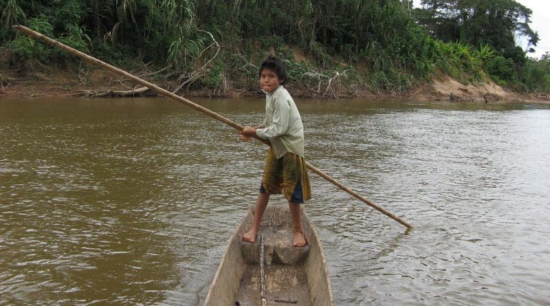 A Tsimane child in a canoe CREDIT Chapman University