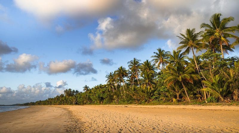Mission Beach Australia Palm Trees Beach Queensland