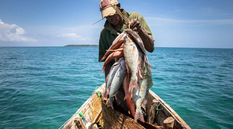 No-take marine protected areas (MPAs) increased the growth of fish populations by 42 percent when fishing was unsustainable in surrounding areas. CREDIT © Erika Piñeros, for WCS