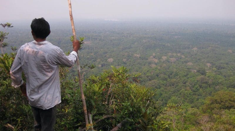 A Yucuna man overlooking Indigenous Lands in the Amazonian rainforest, where many languages are predicted to go extinct by the end of the 21st century. CREDIT (Image: UZH / Rodrigo Cámara-Leret)