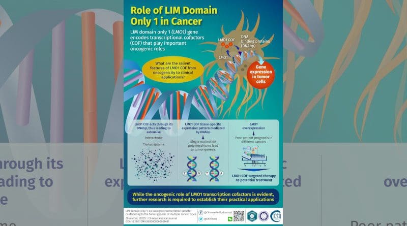 In a new article in Chinese Medical Journal, researchers have reviewed studies detailing molecular features of the gene LIM domain only 1, whose coded protein has a role in tumor formation, for potential practical applications in cancer cure. CREDIT Chinese Medical Journal