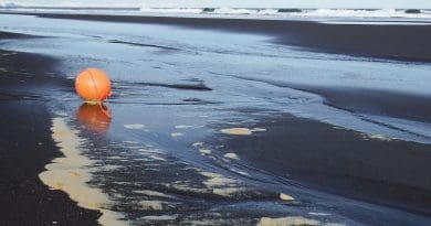 Ocean Beach Wave Foam A Balloon Orange Sand Rock