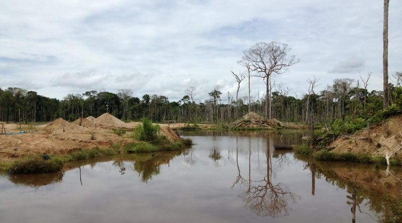 Most gold mines in the Peruvian Amazon are unregulated, small-scale operations, leaving governments without ways to protect the surrounding environment or track how much forest is lost to mining. CREDIT Photo courtesy of Lisa Naughton