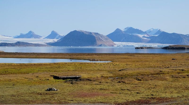 Arctic peatland in Svalbard CREDIT Angela Gallego-Sala