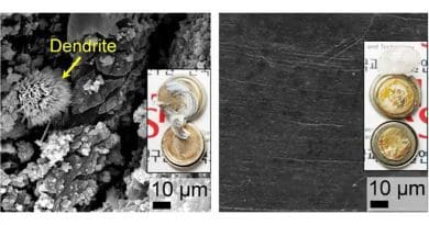 Top-view SEM images and photographs (inset) of plain-Li, and Li@p-PCL electrodes after cycling tests with Li|Li symmetrical cells at 1.0 mA cm-2 and 1.0 mAh cm-2 CREDIT Korea Institute of Science and Technology(KIST)