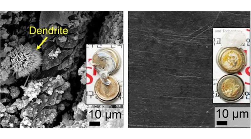 Top-view SEM images and photographs (inset) of plain-Li, and Li@p-PCL electrodes after cycling tests with Li|Li symmetrical cells at 1.0 mA cm-2 and 1.0 mAh cm-2 CREDIT Korea Institute of Science and Technology(KIST)