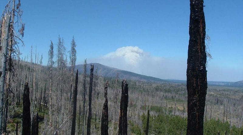 Charred trees from the 2003 B&B complex fire are seen in the foreground as the 2007 Warm Springs Lightning complex fire burns. CREDIT Photo by Andrew Meigs