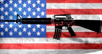 gun flag assault weapon united states