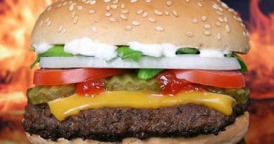 Hamburger Burger Barbeque Bbq Beef Bun