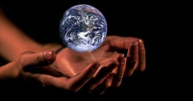 sustainability Hands Globe Earth Protection Planet World Global