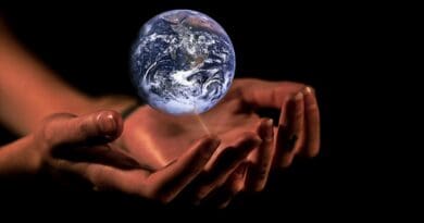 sustainability Hands Globe Earth Protection Planet World Global
