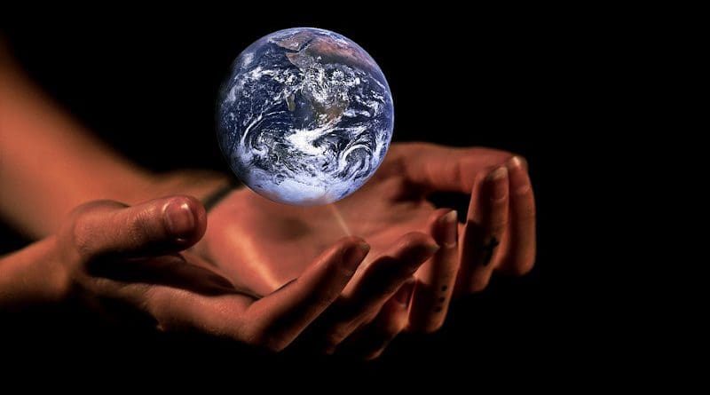 sustainability Hands Globe Earth Protection Planet World Global