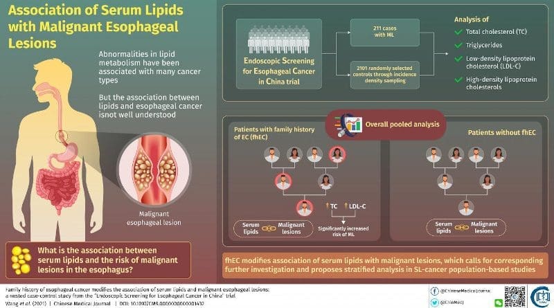 The association between serum lipids and risk of developing malignant esophageal lesions might be influenced by the status of esophageal cancer family history, scientists say. CREDIT Chinese Medical Journal