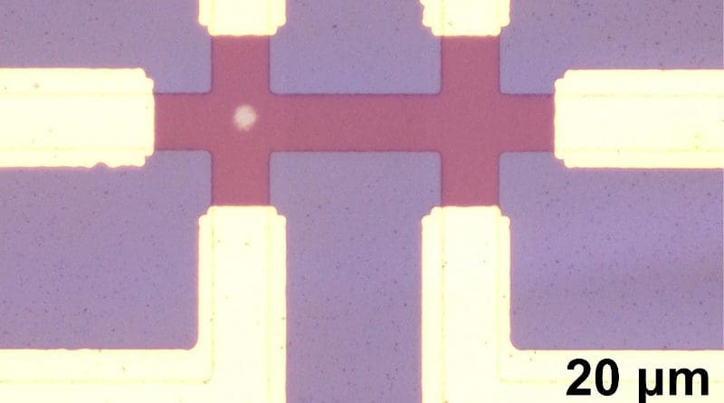 Microscope image of one of the studied devices, consisting of two crosses with the same dimensions, where one has an IrMn3 pillar and the second consists only of Pt. CREDIT Northwestern University and the University of Messina