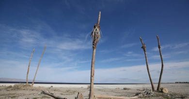 In recent decades, the Salton Sea has been undergoing a rapid retreat, causing increased exposure of dry lakebed. CREDIT Stan Lim, UC Riverside.