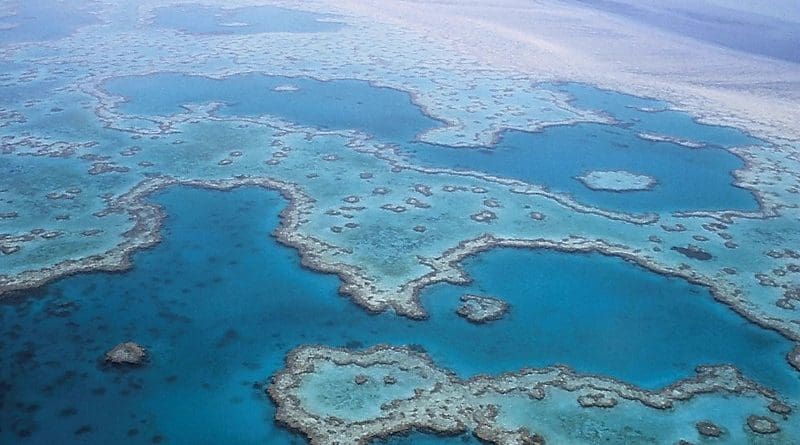 Great Barrier Reef Coral Australia Queensland Ocean