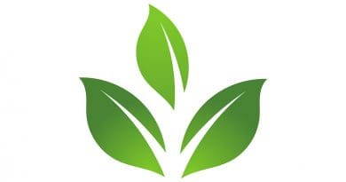Sustainability Eco Icon Logo Leaf Friendly Green Natural Nature