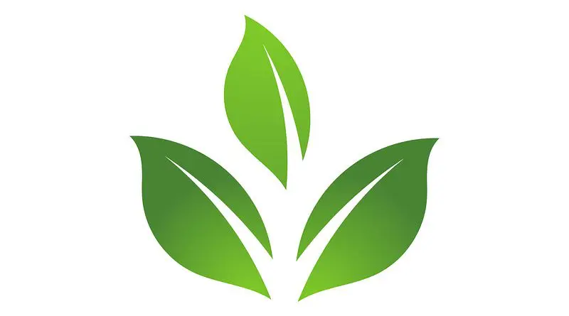 Sustainability Eco Icon Logo Leaf Friendly Green Natural Nature