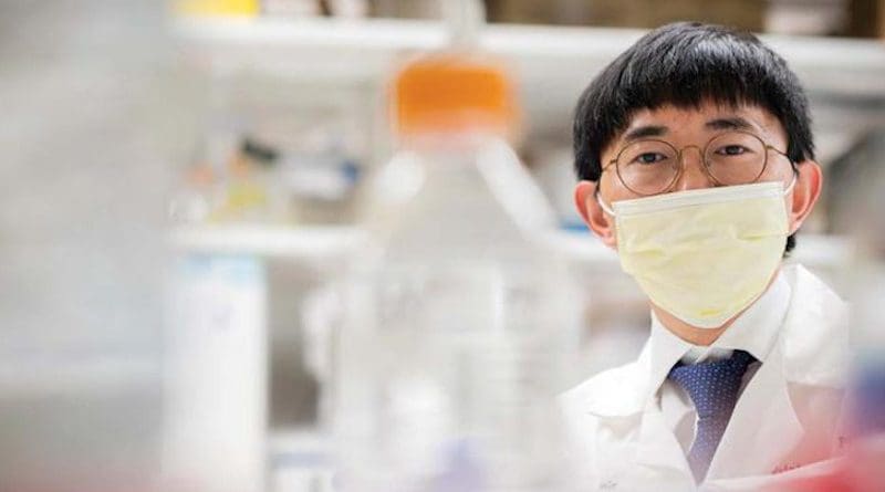 A new Cleveland Clinic-led study, led by Feixiong Cheng, Ph.D., has identified mechanisms by which COVID-19 can lead to Alzheimer's disease-like dementia. CREDIT Cleveland Clinic