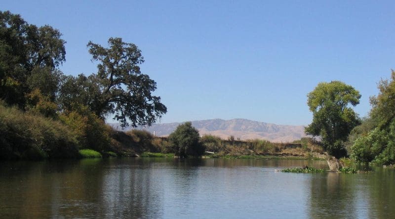 This image shows the riparian community woodlands along the lower Tuolumne River near Merced, California. The dry grassland in the background indicates the semi-arid conditions and drought environment. CREDIT John Stella, ESF