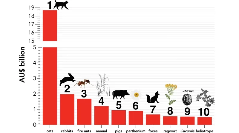 Top 10 worst invasive species in Australia based on economic costs CREDIT: Professor Corey Bradshaw, Flinders University