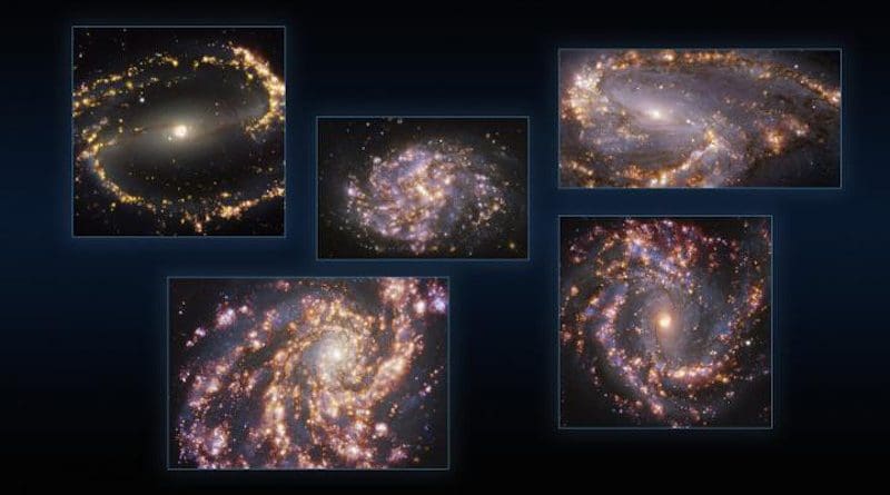 This image combines observations of the nearby galaxies NGC 1300, NGC 1087, NGC 3627 (top, from left to right), NGC 4254 and NGC 4303 (bottom, from left to right) taken with the Multi-Unit Spectroscopic Explorer (MUSE) on ESO's Very Large Telescope (VLT). Each individual image is a combination of observations conducted at different wavelengths of light to map stellar populations and warm gas. The golden glows mainly correspond to clouds of ionised hydrogen, oxygen and sulphur gas, marking the presence of newly born stars, while the bluish regions in the background reveal the distribution of slightly older stars. CREDIT ESO/PHANGS