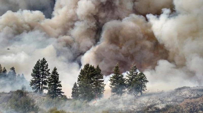 Wildfire smoke may greatly increase susceptibility to SARS-CoV-2, the virus that causes COVID-19, according to new research from the Center for Genomic Medicine at the Desert Research Institute, Washoe County Health District, and Renown Health in Reno, Nev. CREDIT U.S. Department of Agriculture